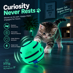 GlowPup™ — Interactive Light-Up Squeaky Ball for Dogs